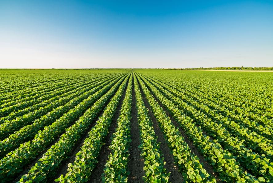 Supporto all’agricoltura